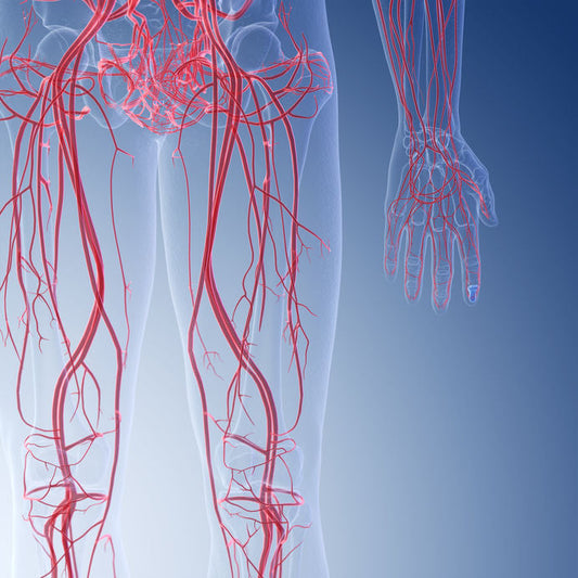 L-Arginin – die semi-essentielle Aminosäure vor dem Training, bei Stress und im Alter