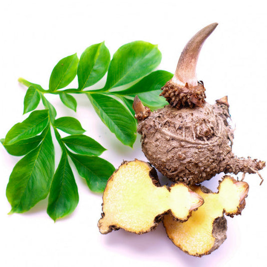 Glucomannan – der perfekte Begleiter zum erfolgreichen Abnehmen