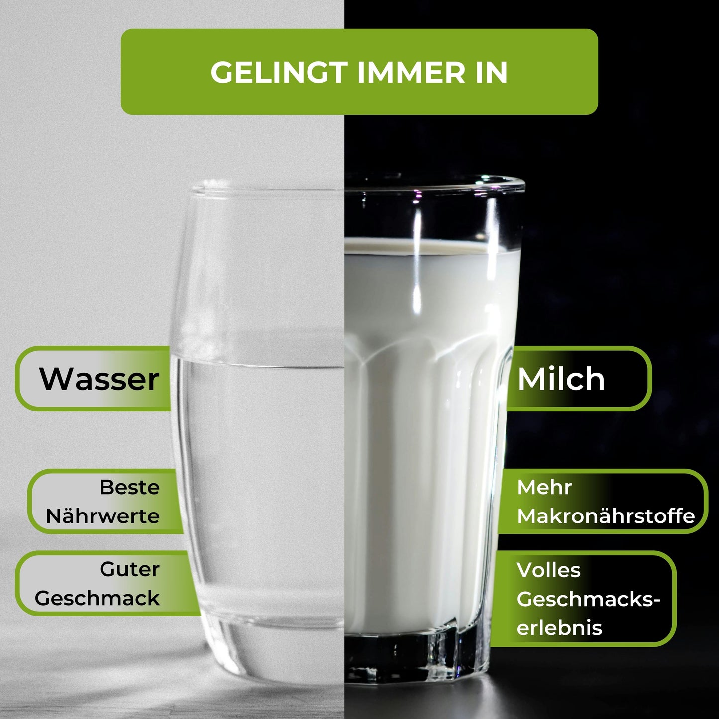 Whey Protein