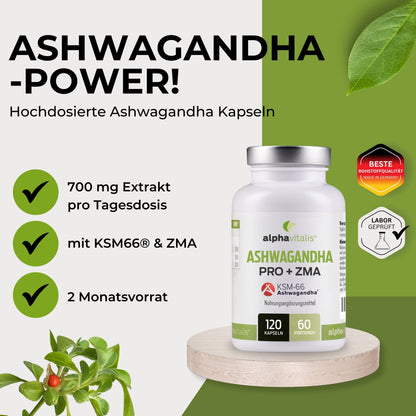 Ashwagandha Pro + ZMA