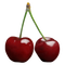 Kirsche