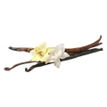 Vanille