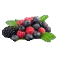 Sour Wildberry