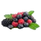 Sour Wildberry