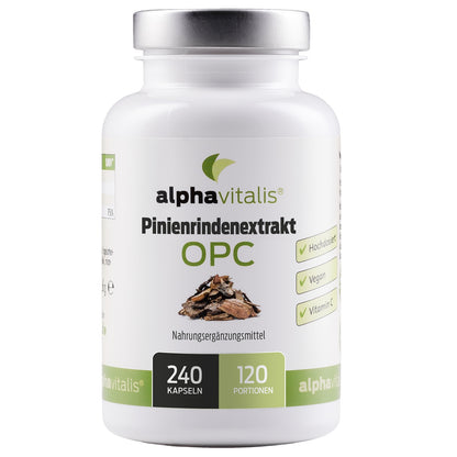 Pinienrindenextrakt