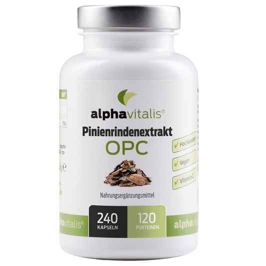 Pinienrindenextrakt