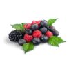 Sour Wildberry