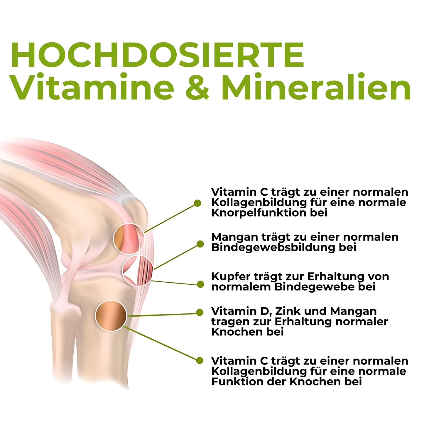 Glucosamin Phytodroitin® Komplex
