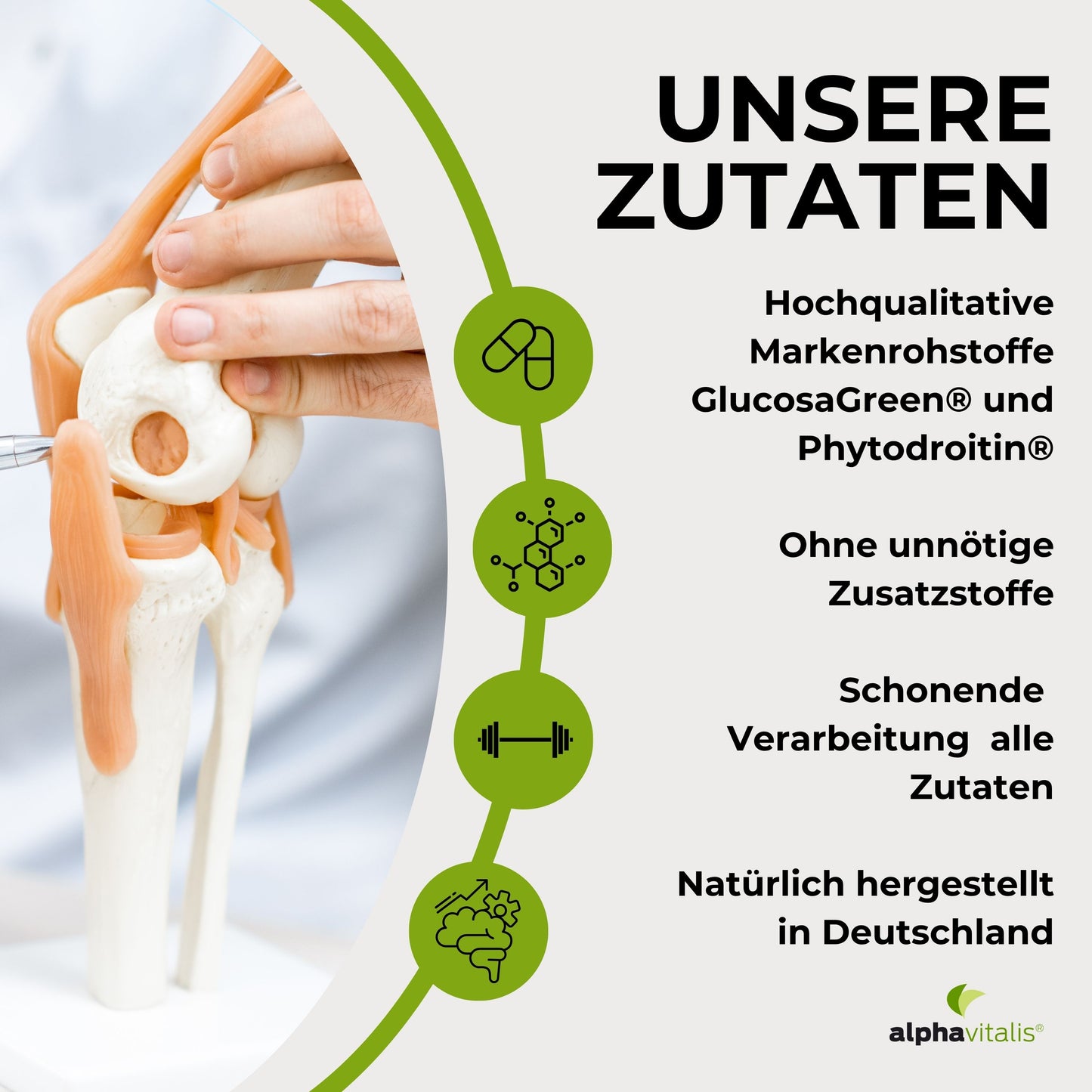 Glucosamin Phytodroitin® Komplex