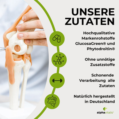 Glucosamin Phytodroitin® Komplex