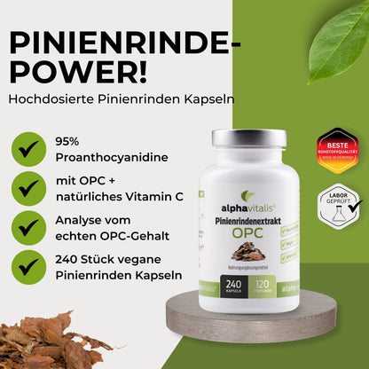 pinienrindenextrakt kapseln 2